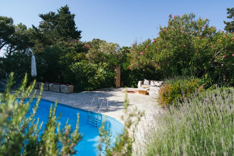 A refreshing pool surrounded by lush greenery and trees on the property of Villa Bol Retreat on island Brac.