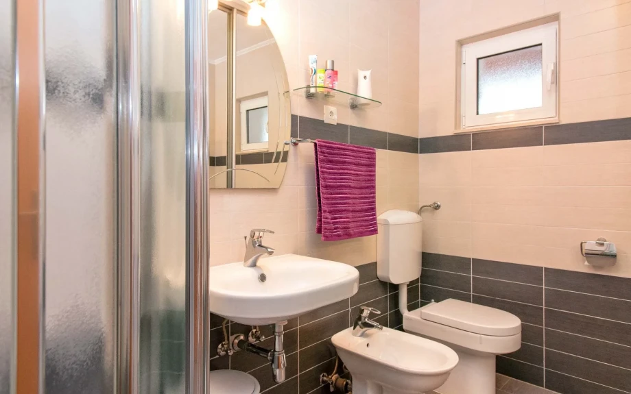 Bathroom with shower, large mirror, toilet and bidet
