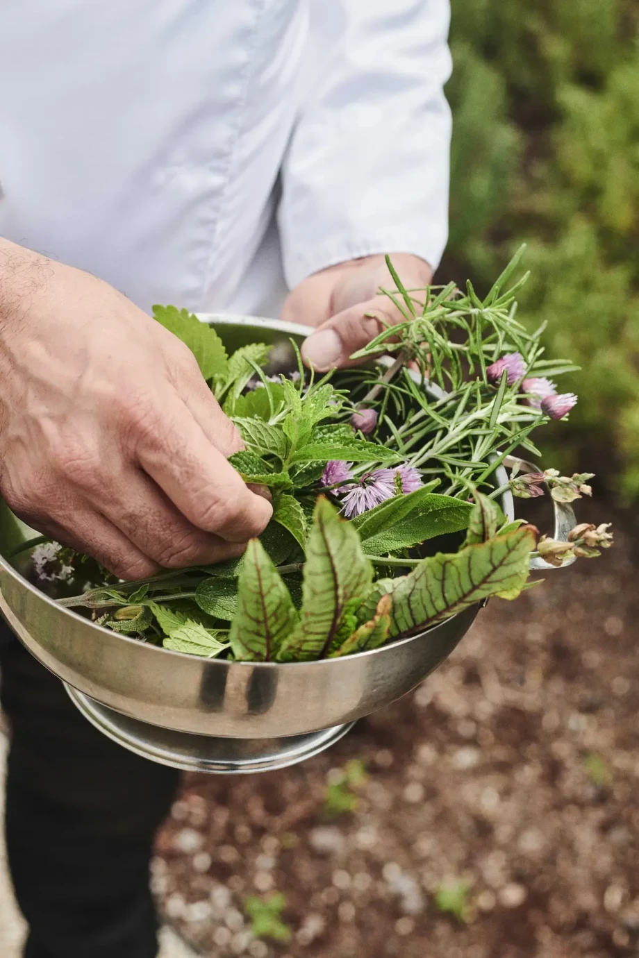 Captains Villa Rouge by Croatia Finest Holidays - waterfront high-end, fully staffed villa in Mali Losinj
