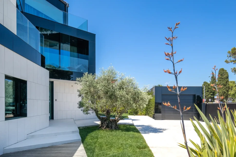 Little tree in front of a villa