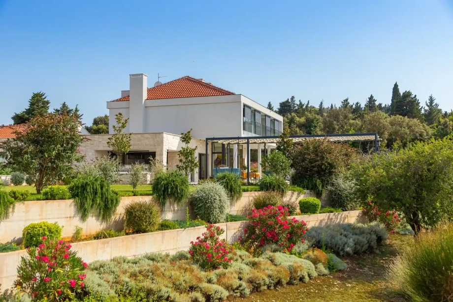 Lush green plants encircle a modern villa, enhancing its contemporary design with natural beauty.